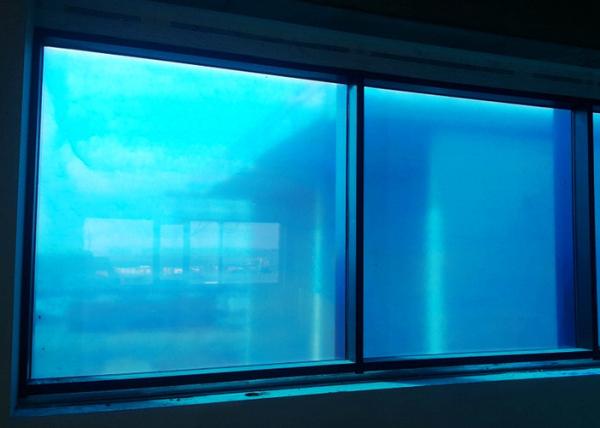 Self Adhesive PE Protective Film , Window Glass Protection Film For Outdoor / Indoor