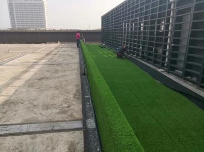 Garden Lawn Grass Carpet , Artificial Grass Carpet Roll PVC Material
