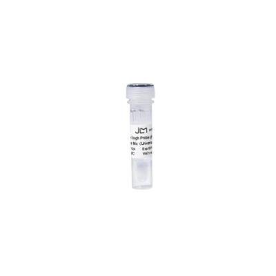 2×SuperToughProbeqPCR MasterMix(Universal)