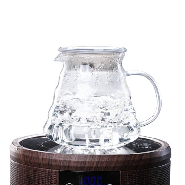 B2B 300ml Glass Pour Over Coffee Maker with Stainless Steel Filter&Wood Sleeve–Camping Brewing Pot