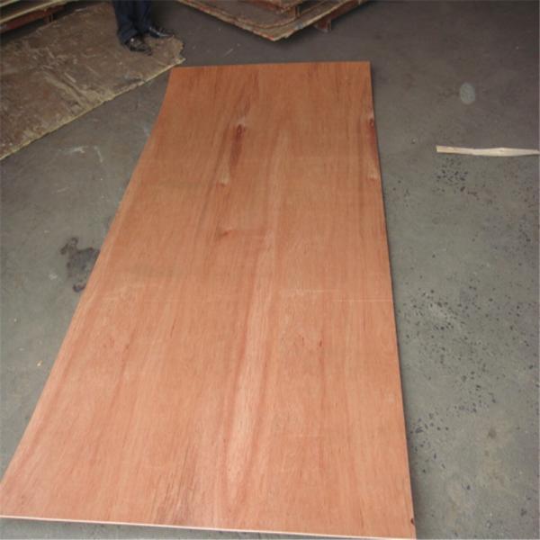 Furniture Poplar 1250×2500mm Bintangor Plywood