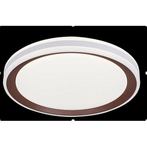 Color Changing Led Ceiling Lights 24w 6000k 3200k 4100k For Living Area / Hotel