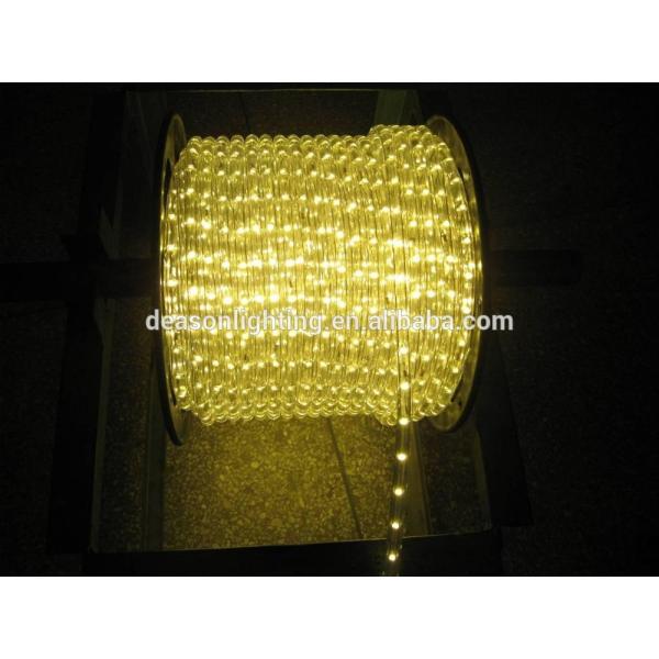 110V /220V led rope light