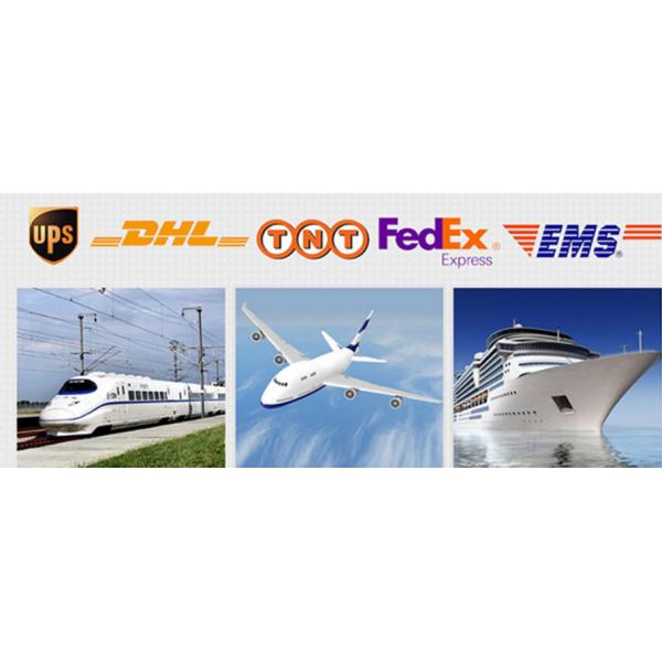 Professional 8pcs Individual Makeup Brushes Set Gold 35mm Ferrule