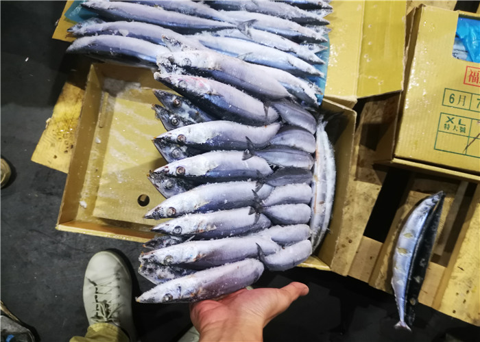 Свежая сайра морепродуктов #1 оптовая здоровая замороженная Тихая океан