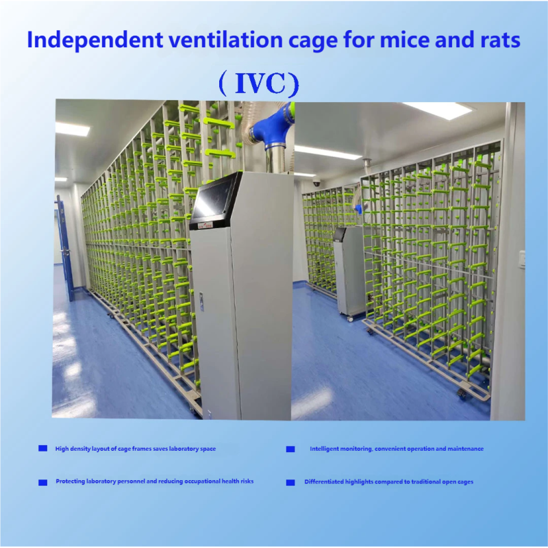 IVC Animal Cages