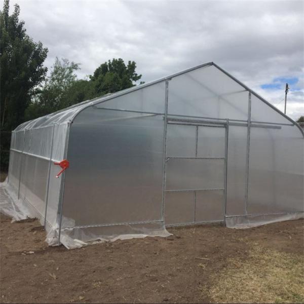 Single Span Poly Film Tunnel Arch Plastic Film Greenhouse Strawberry Fruits Planting