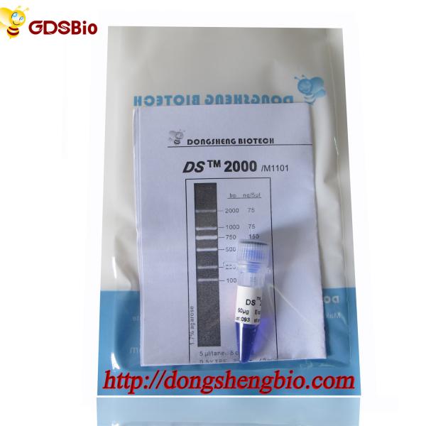 Escada 2000 do marcador do ADN do DS M1101 (50μg) /M1012 (50μg×5)