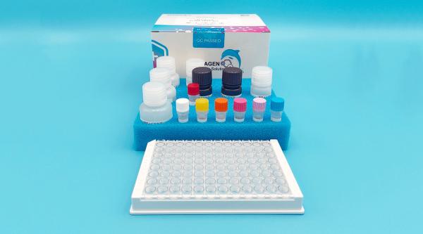 Rapid Nitrofurantoin (AHD) ELISA Test Kit High Recovery Low Detection Limit