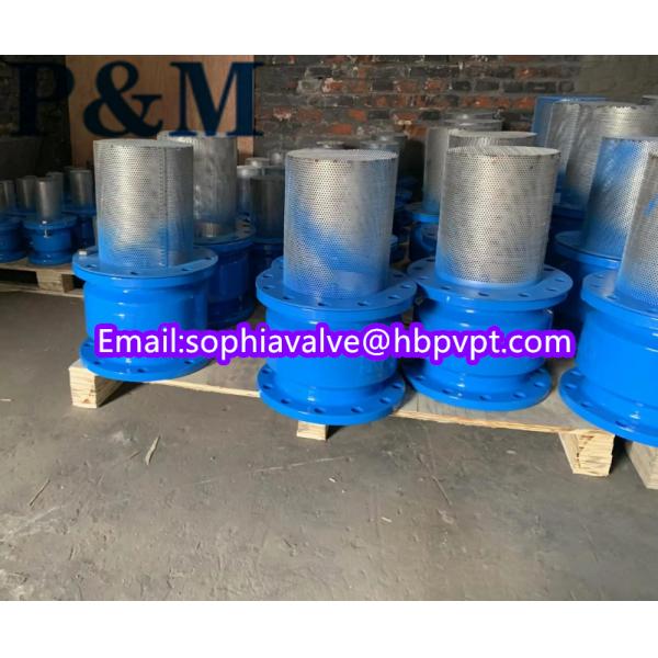 dn100 pn16 GGG50 foot valve stainless steel screen