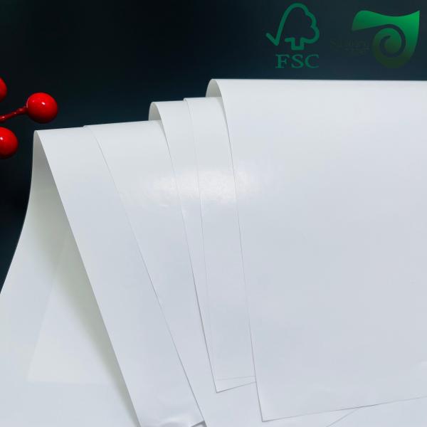 High Quality Double Sided Glossy Cardstock Ideal for Premium Printing Projects