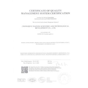 Chongqing Xianyou Technology Development Co., Ltd. Сертификации