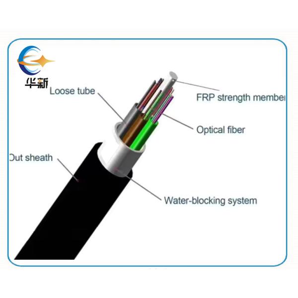 Customization GYTY Single Mode Fiber Optic Cable High Rank Cable For Outdoor