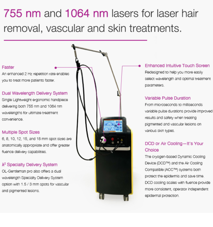 755nm Alexandrite 1064nm Long Pulse Nd Yag Laser Hair Removal Machine DCD + Air Cooling