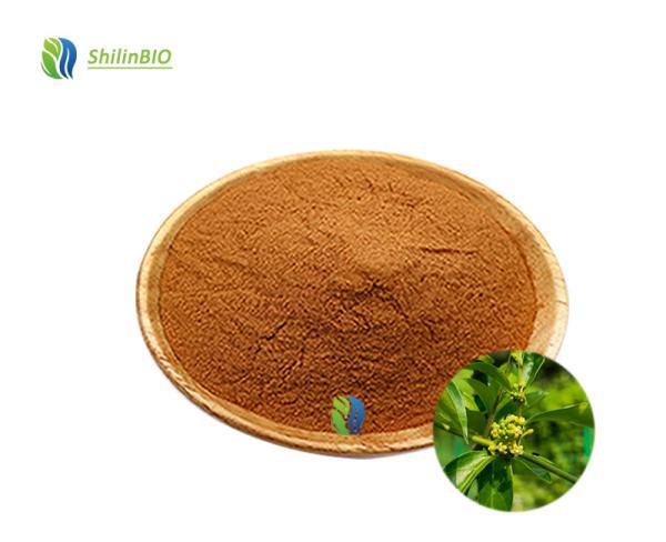 Factory Wholesale Gymnema Sylvestre Leaf Extract 25% 75% Gymnemic Acid Powder