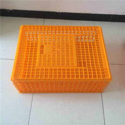 Caisses en plastique agricoles orange PE pour le transfert de poulet