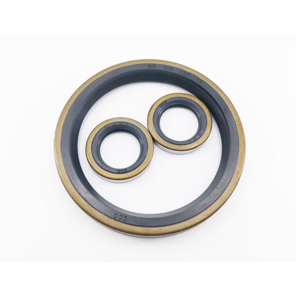 Metal Case Gasket Rubber FKM NBR Oil Seal Car Mechanical Oil Sealing