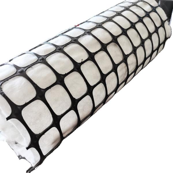 Road Reinforcement Biaxial Geogrid with and Tensile Strength in Chinese Design Style