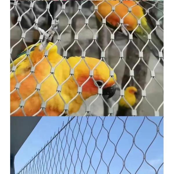 SS304 Ferrule Diamond Flexible Inox Stainless Steel Wire Cable Net Rope Mesh (Стальная нержавеющая сталь, из нержавеющей стали)