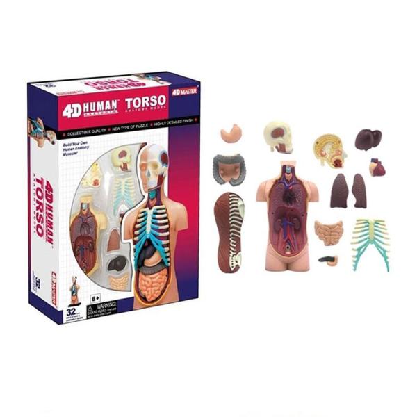 4d Master Puzzle Assembling 19cm Human Body Anatomy Model Toy Medical