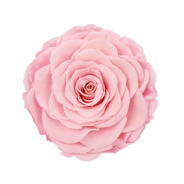 Home Decor Preserved Rose Heads Creative Household Decorative Furnishings