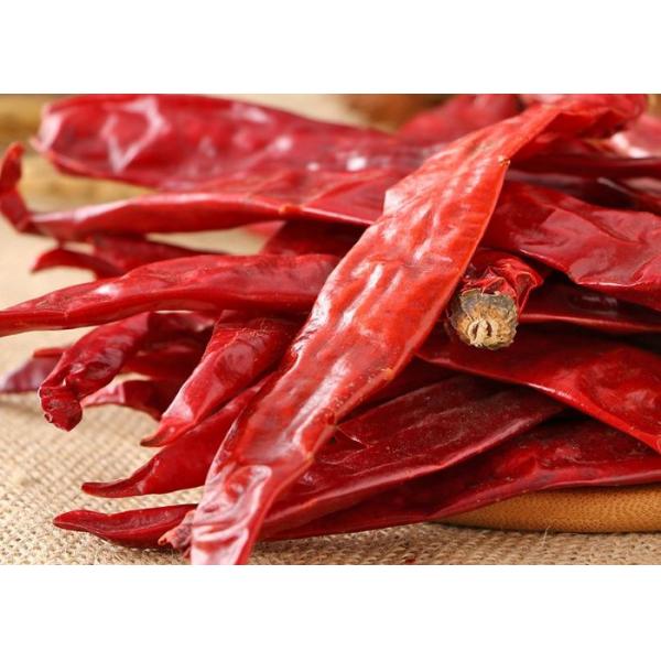 Stemless высушенное Guajillo Чили перчит форму блока Heb без стержня
