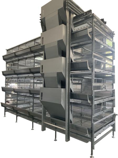Aço galvanizado a quente Tipo H Equipamento de criação de aves de capoeira Camada de bateria Caixa automática de galinha com sistema de postura de ovos