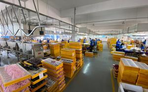Chongqing Wanda Technology Co., Ltd.