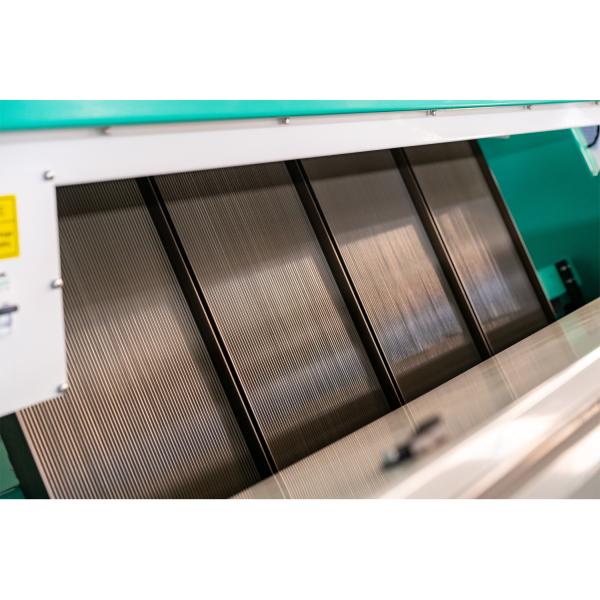 Operação fácil automática da máquina de classificação da cor de 10 rampas para explorações agrícolas