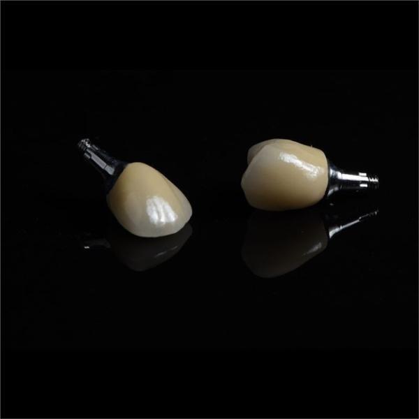 Cad Cam Implant PFM Crown Bridge Dental Medical Grade Adhesive