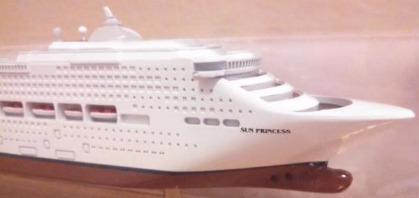 Hand Made Sun Princess Cruise Ship  Models Engraving Printing Hull Logo Printing