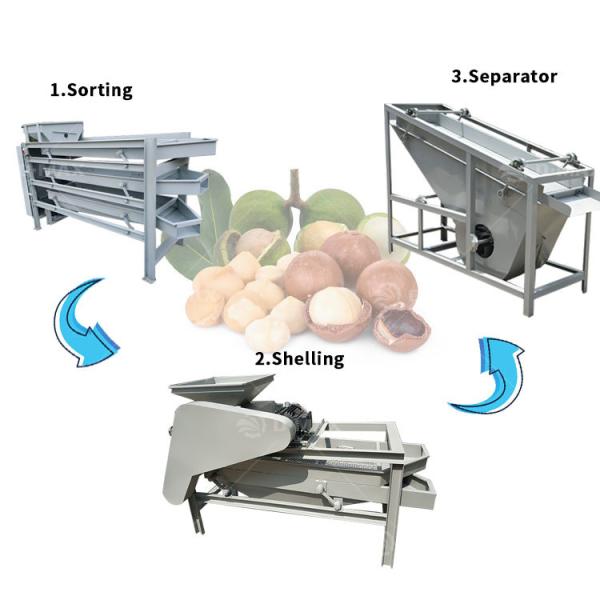 Commercial Usage Almond Processing Line Making Machine for Nuts Peanut Almond Chestnut