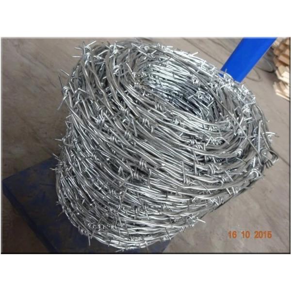 Hot-Dipped Galvanized Barbed Wire for Airport Prison Security Fence