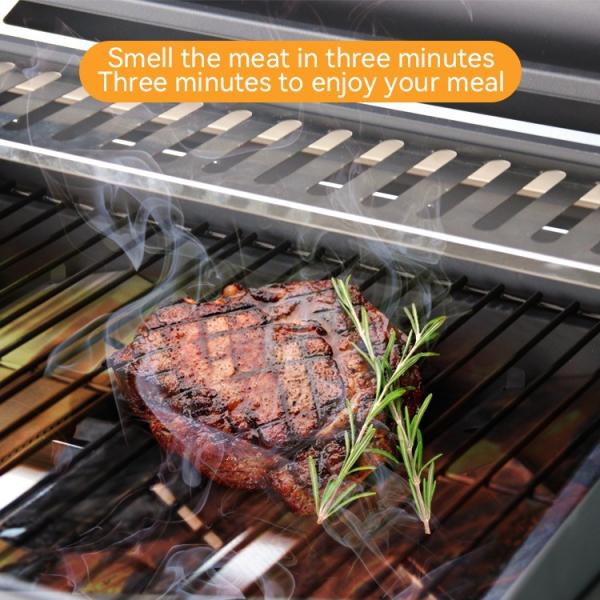 Portable Outdoor Camping BBQ Barbecue Gas Grill Smoke Stove with Steel Safety Device
