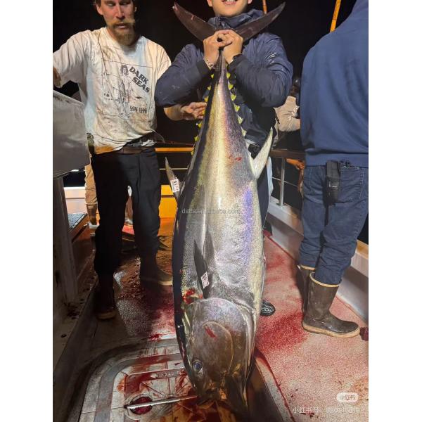 45 ft new design aluminum fire boat supporting high efficiency