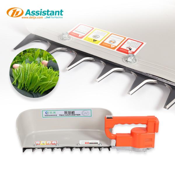 Cordless Battery Tea Plucking Machine for Garden Tea Cutting Motor Dl-4CD-35N 2024 Functional Improvements