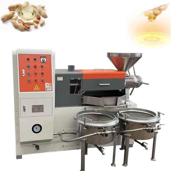 80-160kg/h High Output Spiral Canola Oil Making Machine for Vegetable Seeds Sunflower Oil