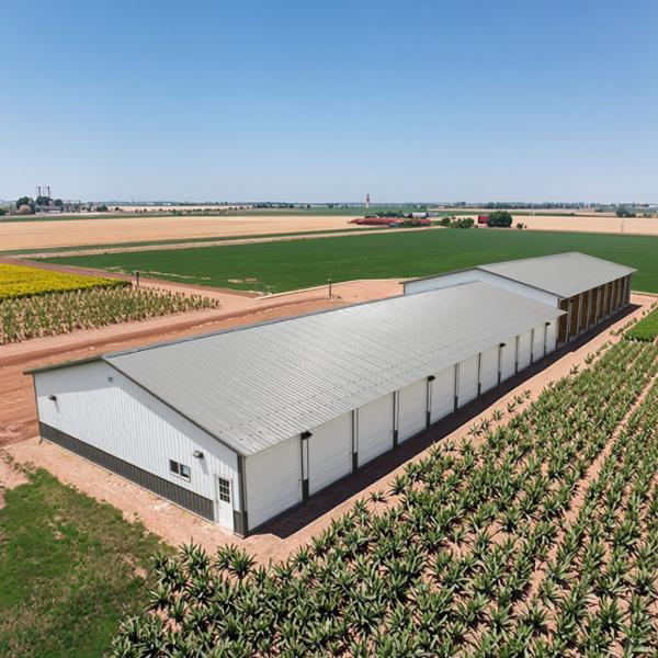 Prefab Steel Chicken House with PVC Membrane Roof