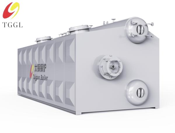 Caldeira de vapor de tubo de água condensada de duplo tambor PLC Industrial 25 toneladas