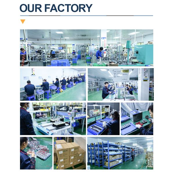 12V 24V DC Planetary Gearbox Manufacturers 1rpm-600rpm Micro Planetary Gear Motor