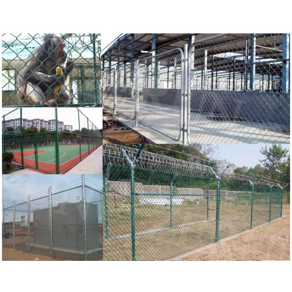 1.8m * 2.3m Plastic Coated Chain Mesh Fencing Stainless Steel 6x12 For Farm And Airport