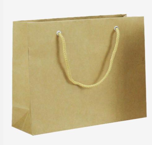 Recycled Custom Kraft Paper Bags Ribbon Handle For Shopping