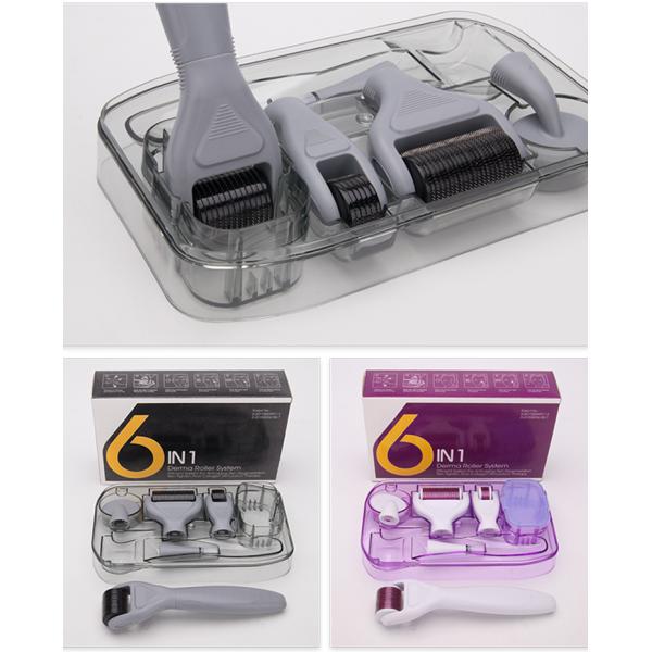 Newest ! 6 in 1 derma roller 12/300/720/1200 needles titanium micro needle therapy derma roller/ dermaroller