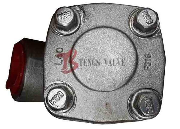 Forged Y Type Strainer Stainless Steel A182 F316L 800LB SS316 Screen Socket Weld / Threaded