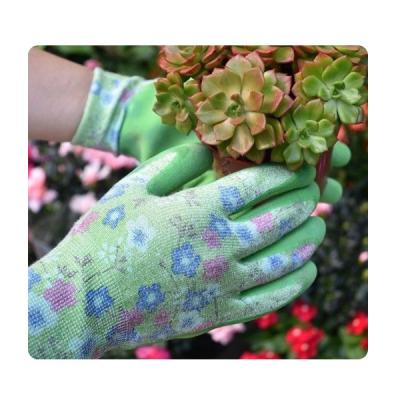 Sandy Latex Gloves For Cutting feito malha de bambu verde e molhar a flor