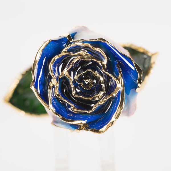 Gold Trimmed Rose Preservied  Rose for Valentine Mother Day Christmas Gifts Handmade Eternal Rose