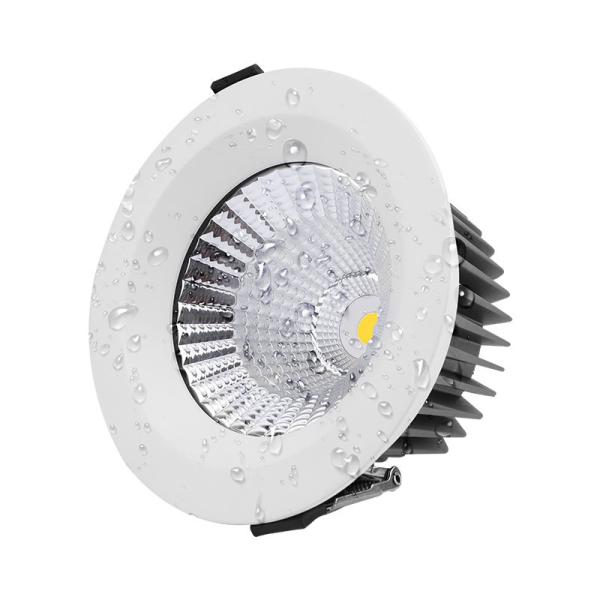 IP65 Waterproof LED Downlight with CRI >80 and >50,000 Hours Lifespan for All Spaces