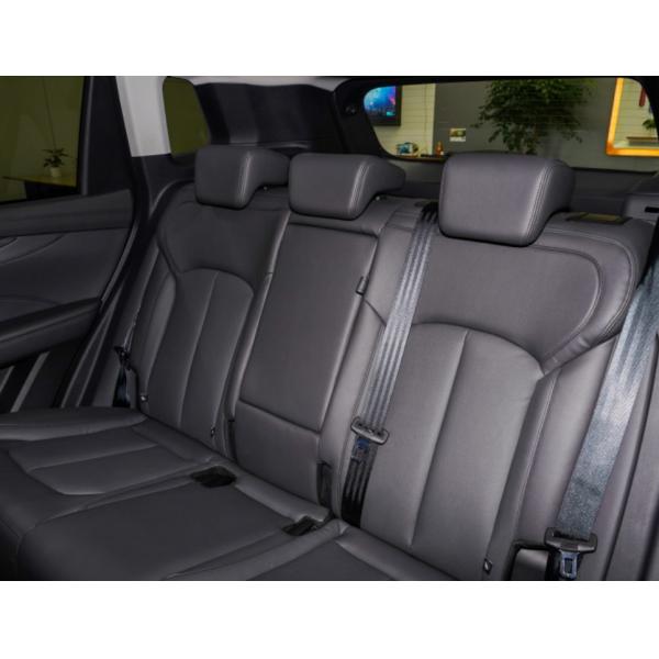 L'electirc d'Edition d'explorateur de Weltmeister W6 2021 520km NEX la voiture d'occasion