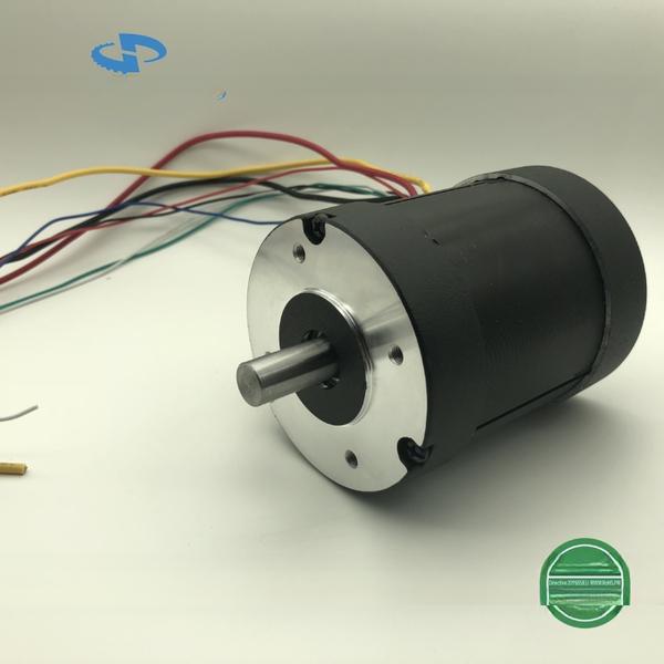 Высокий крутящий момент 12v 24v 36v 48v Micro Pm Electric Dc Brushed Brushless Motor Спецификация таблицы данных Китайская фабрика