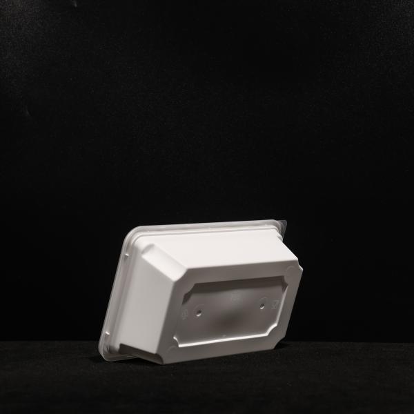 Customized Color Polypropylene Lunch Box Disposable Sandwich Boxes For Snack And Fruit